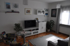 MZ Apartment
